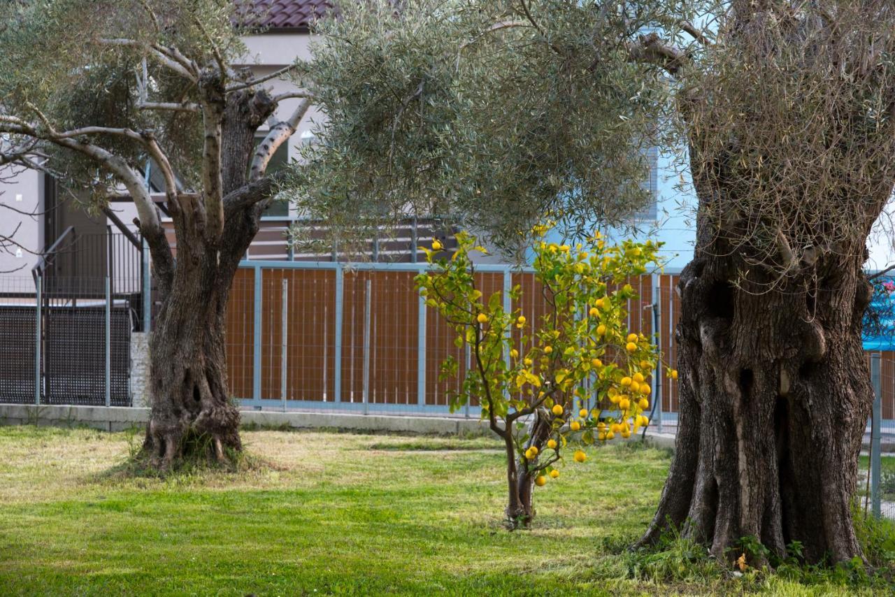 Kostas Studios Nydri (Lefkada) Exterior foto